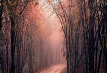 里尔力克对手，取得重要胜利