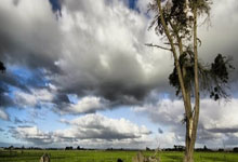 阵容大调整出击，亚冠比赛迎来胜利新起点