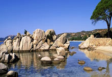 联赛盛况：豪强再登巅峰，令人赞叹